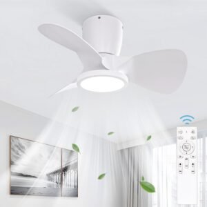 Ventilador de techo con Luz